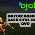 Daftar Bocoran Agen Situs Pakai OVO